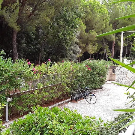 Casa Al Mare Apartman *